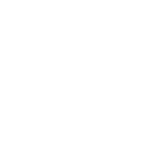 Flagship Game Studio Logo